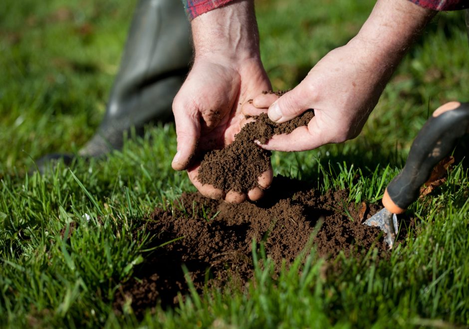 Close up picture gardener holding soil